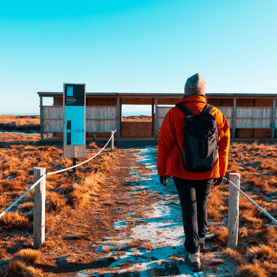 reserva natural pingüino rey