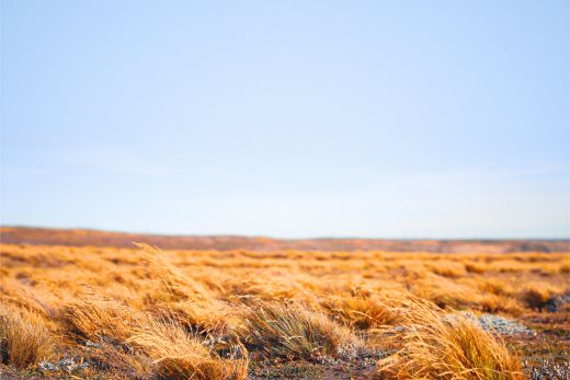 Cambio climático