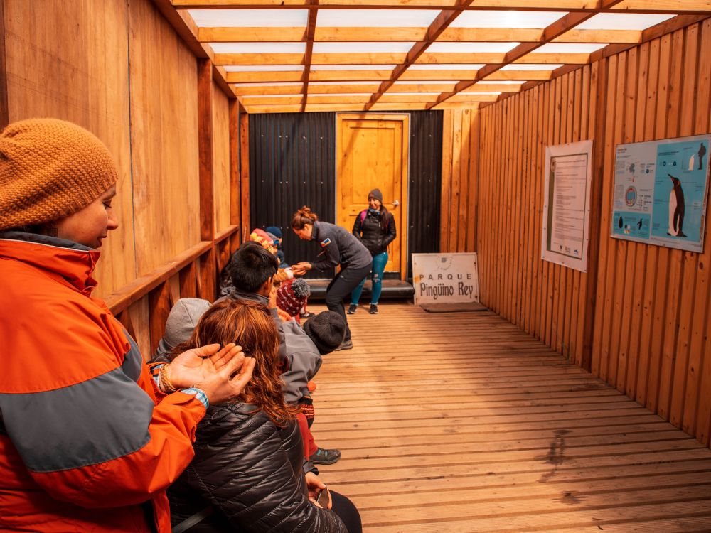 EDUCACIÓN AMBIENTAL